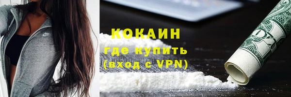 хмурый Абаза