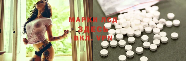 индика Рославль