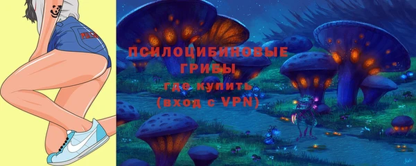 хмурый Абаза